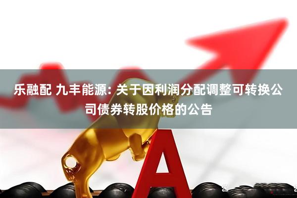 乐融配 九丰能源: 关于因利润分配调整可转换公司债券转股价格的公告