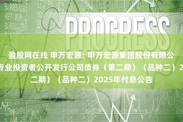 盈股网在线 申万宏源: 申万宏源集团股份有限公司2023年面向专业投资者公开发行公司债券（第二期）（品种二）2025年付息公告