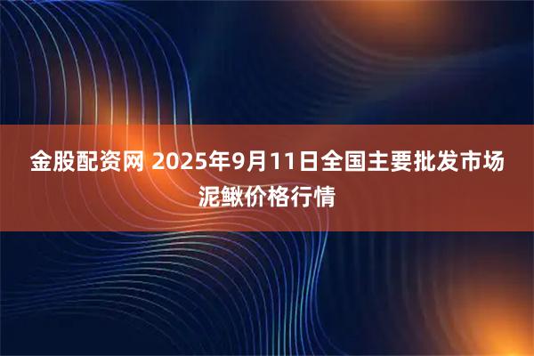 金股配资网 2025年9月11日全国主要批发市场泥鳅价格行情