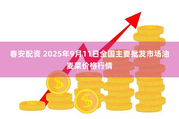 春安配资 2025年9月11日全国主要批发市场油麦菜价格行情