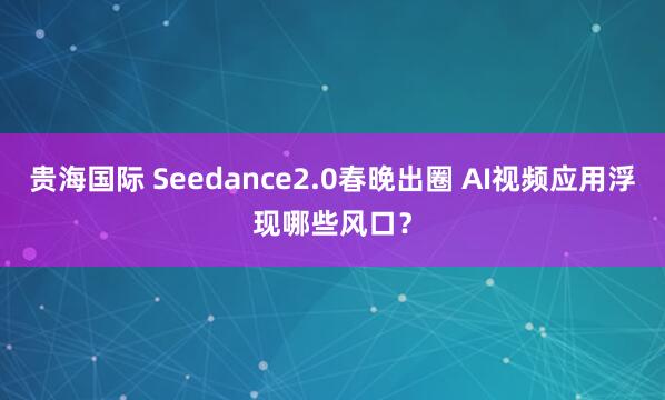 贵海国际 Seedance2.0春晚出圈 AI视频应用浮现哪些风口？