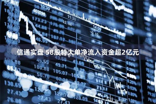 信通实盘 58股特大单净流入资金超2亿元