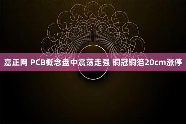 嘉正网 PCB概念盘中震荡走强 铜冠铜箔20cm涨停